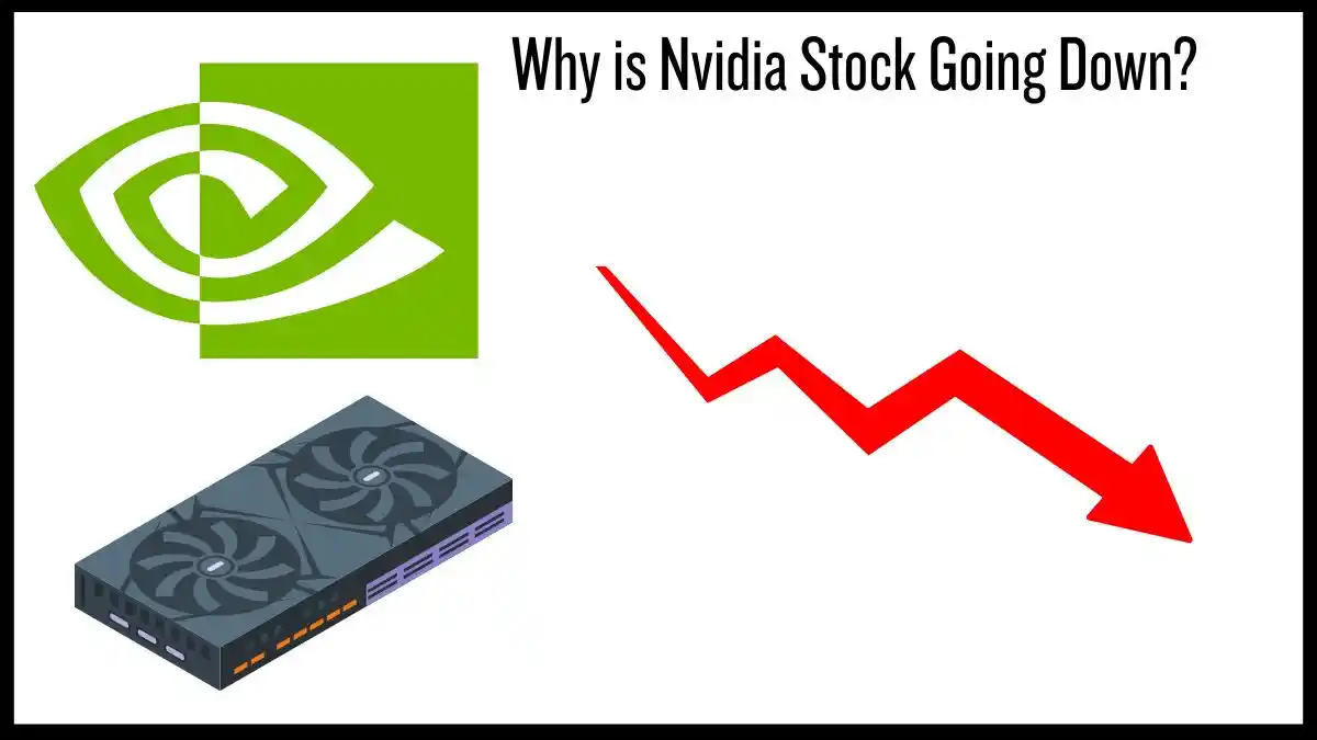 Nvidia's Spectacular Ride