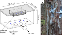 How Do Ant Supercolonies Influence Biodiversity?