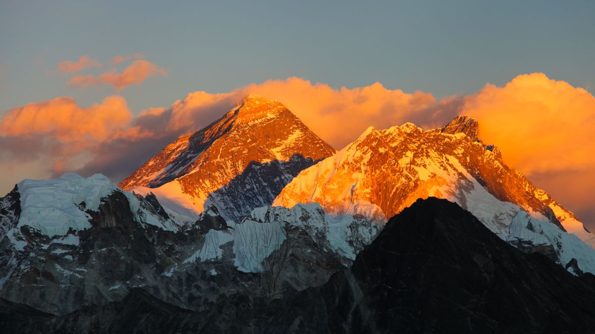 How Do Climate Change Impacts Disrupt Ecosystems in the Alps?