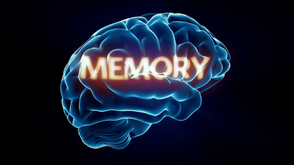 How Does the Brain Decide Which Memories Are Important to Store in Long-Term Memory?