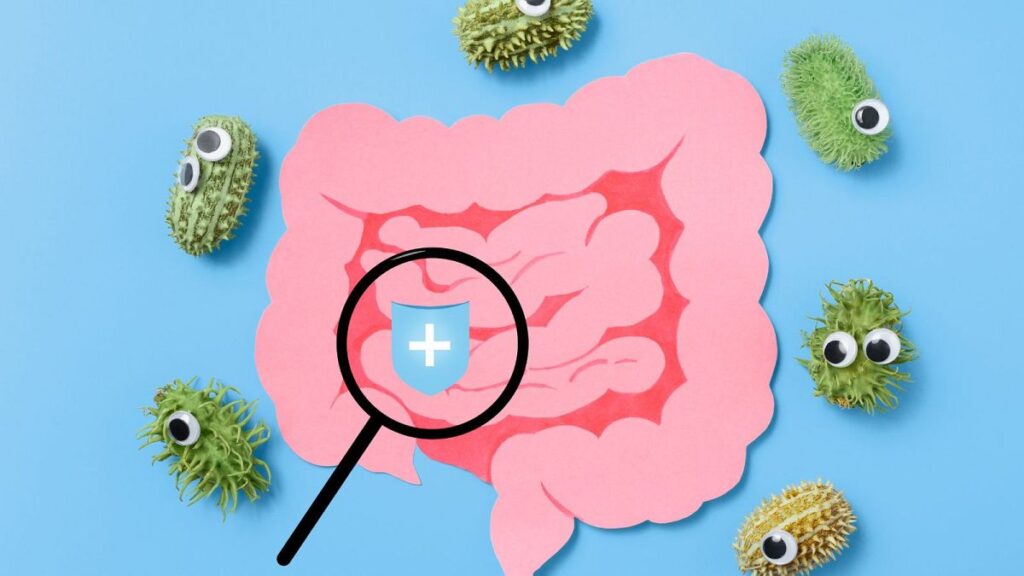 How did changes in human diet impact the prevalence of cavities in modern times?