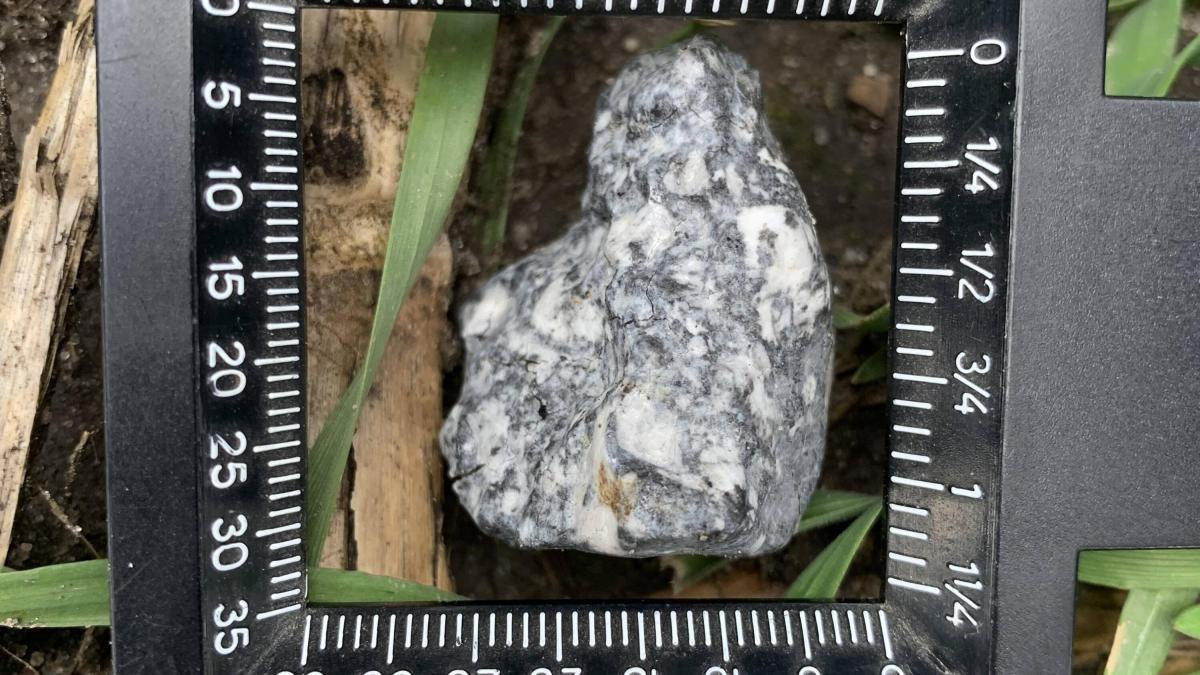 How was the 10th meteorite in New Zealand discovered?