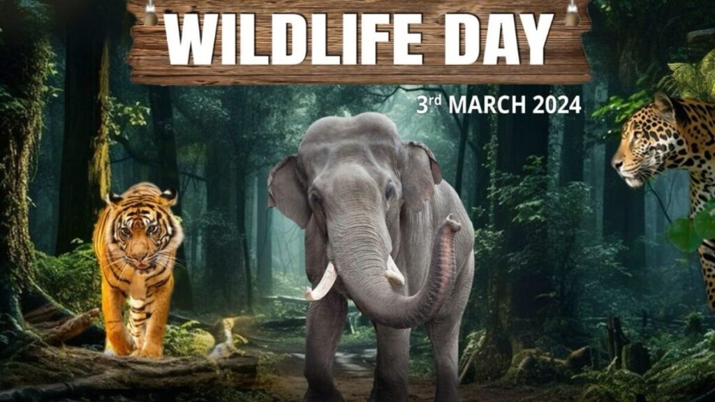 India Celebrates World Wildlife Day