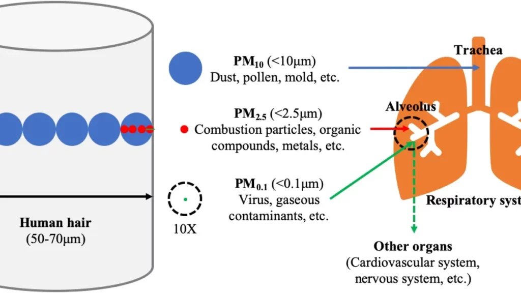 What are the health implications associated with PM2.5 pollution?