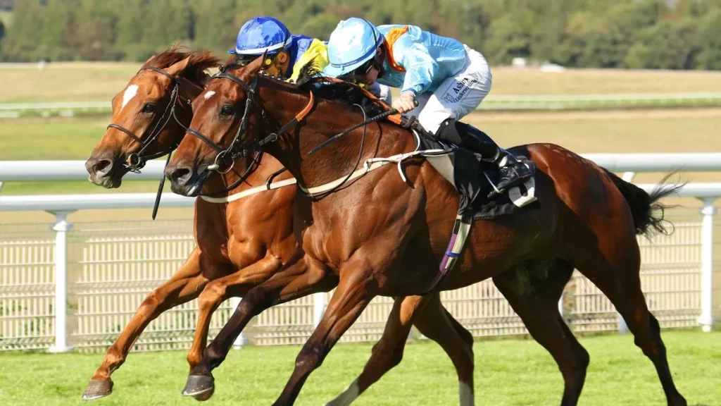 Who won the Lincoln Handicap in Doncaster?