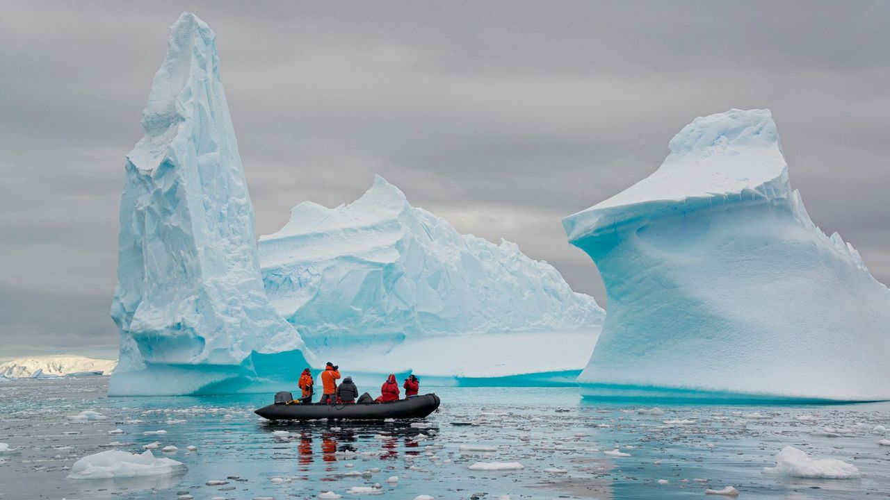 Antarctic Viruses Uncovered