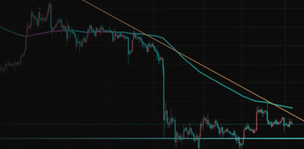 BlackRock's Addition of Authorized Participants Sparks Bitcoin Price Surge