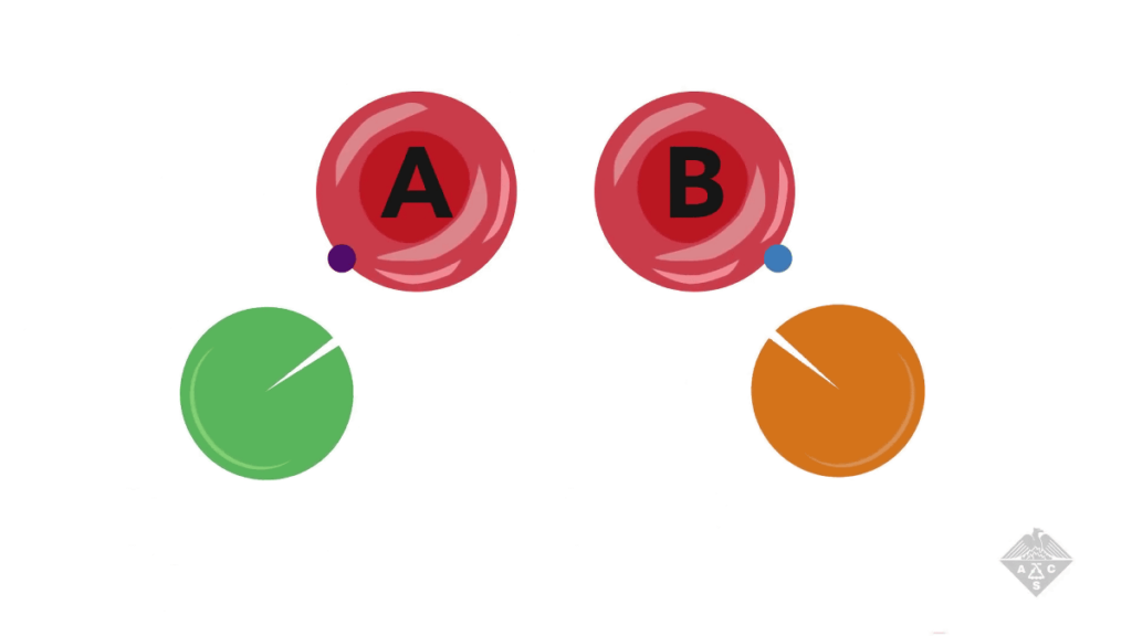 How Can Gut Bacteria Enzymes Help in Creating Universal Blood for Transfusions?