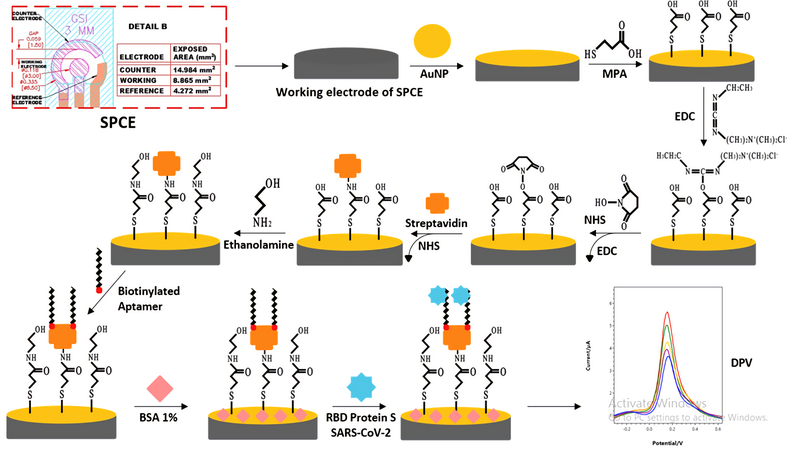 How Do Electric Currents and Potential Differences Impact Electrochemical Processes at Electrified Interfaces?