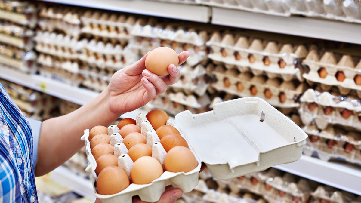 How can Bird Flu Impact Egg Prices in the US?