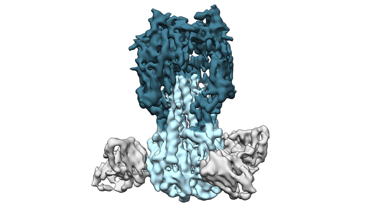 How can a single peptide vaccine provide broad coverage against multiple strains of influenza viruses?