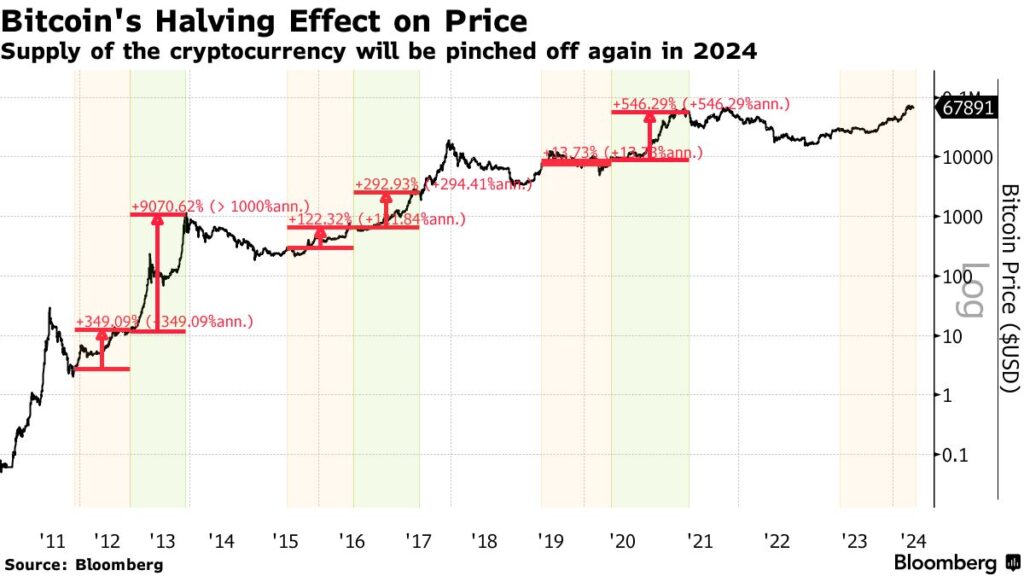 How has the floor price for the Runes NFT collection changed post-halving?