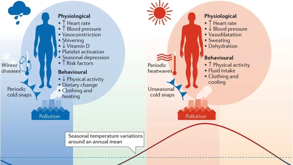 The Devastating Impact of Heat on Cardiovascular Health and How Climate Change Exacerbates Cardiovascular Mortality in China