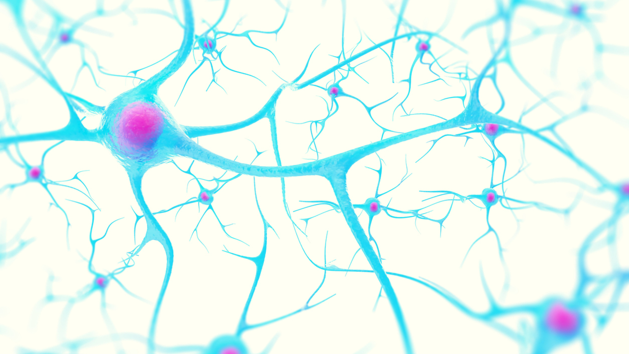 Unraveling the Impact of Brain Glycans on Neurodegeneration