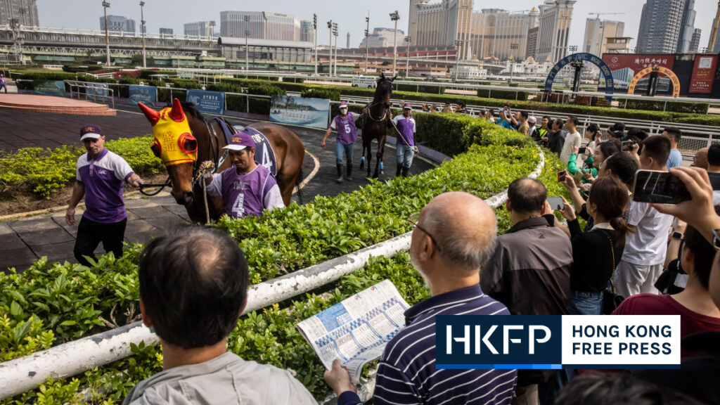 What Are the Future Plans for the Retired Macau Racehorses and Where Will They Be Moved To?