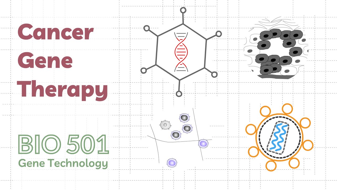 What are the new hopes for cancer therapy based on genetic research and how are cancer cells resisting chemotherapy and radiotherapy being studied?