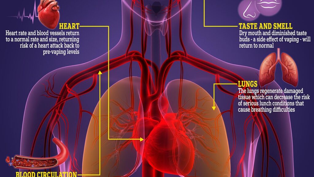 What are the potential impacts of vaping on heart health, especially among younger people?