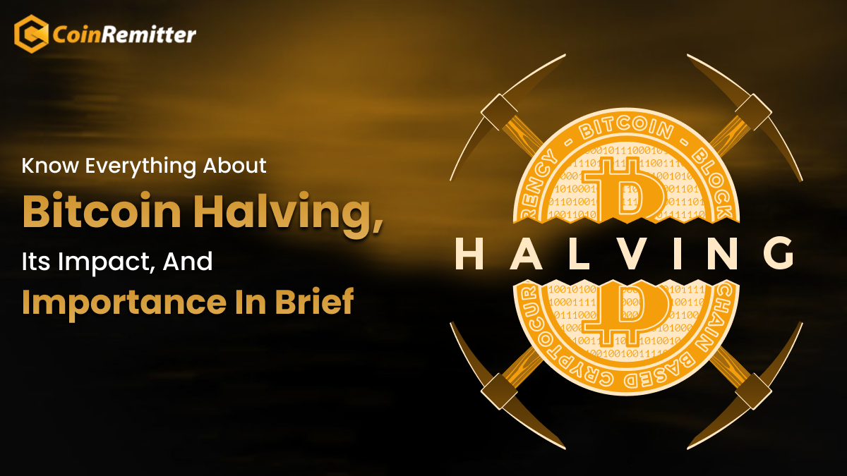What are the effects of Bitcoin halving on its price and how does it impact supply and demand dynamics?