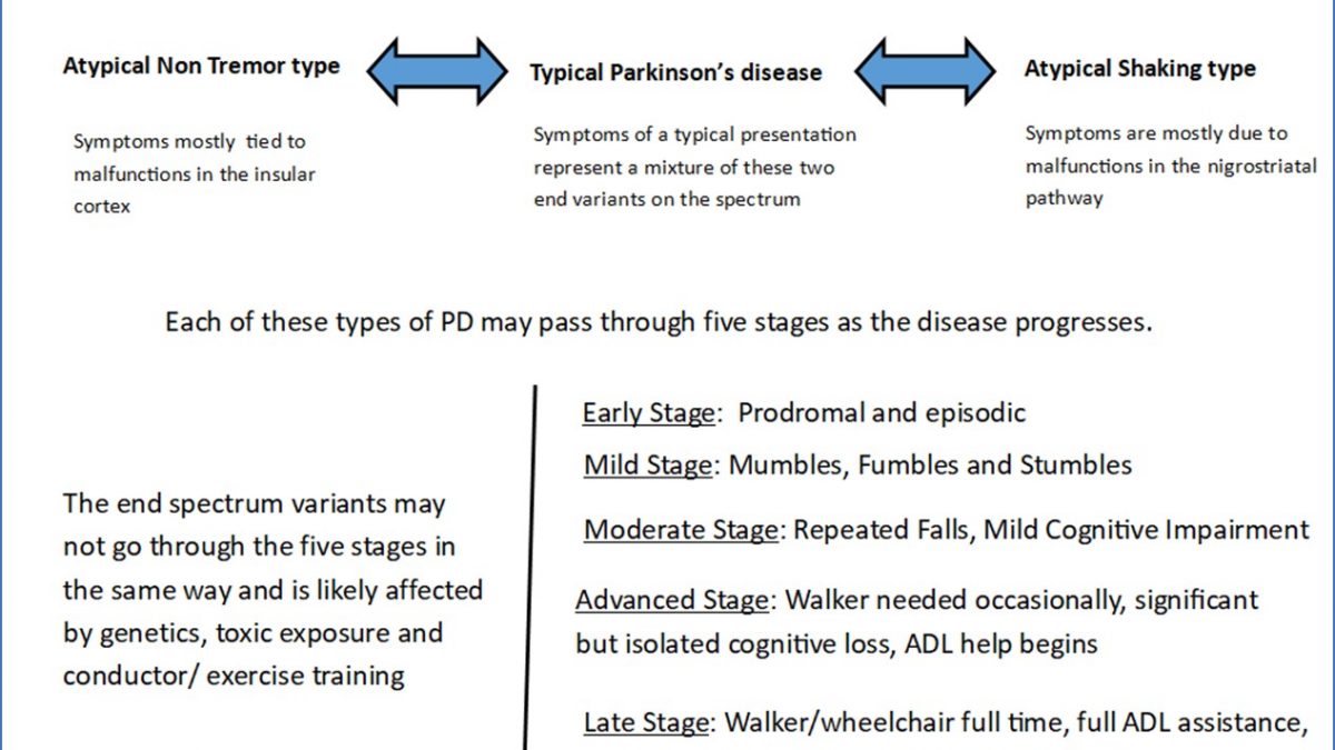 What are the 5 stages of Parkinson's disease progression?