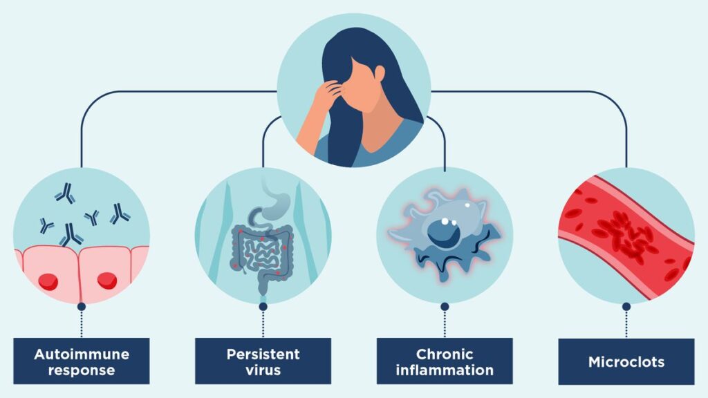 What is the Possible Biological Marker Identified in Long Covid Patients?