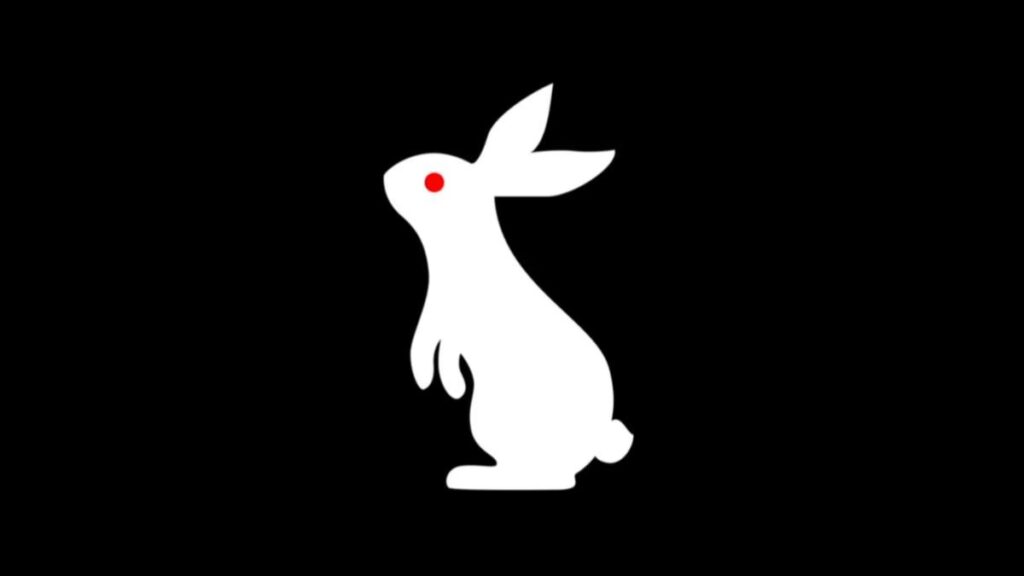 What is the meaning of the 'White Rabbit Project' in WWE's campaign and how does it relate to Bray Wyatt's legacy?