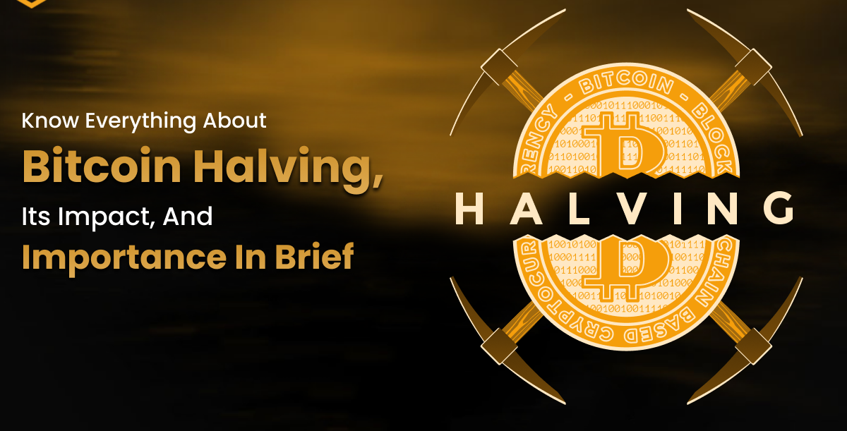 What is the significance of Bitcoin halving in the cryptocurrency community?
