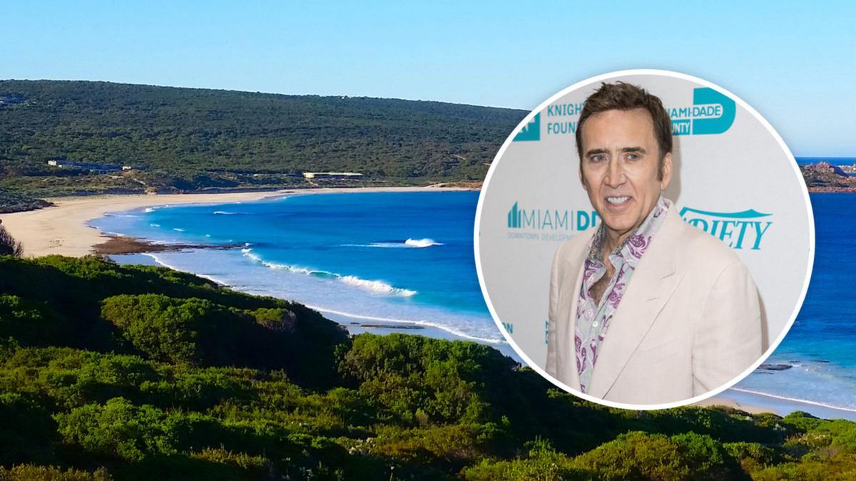 What is the plot of the movie 'The Surfer' starring Nicolas Cage?