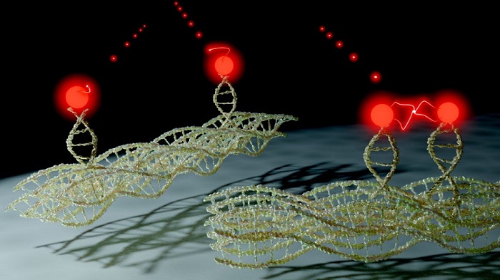 DNA Origami Applications in Photonics