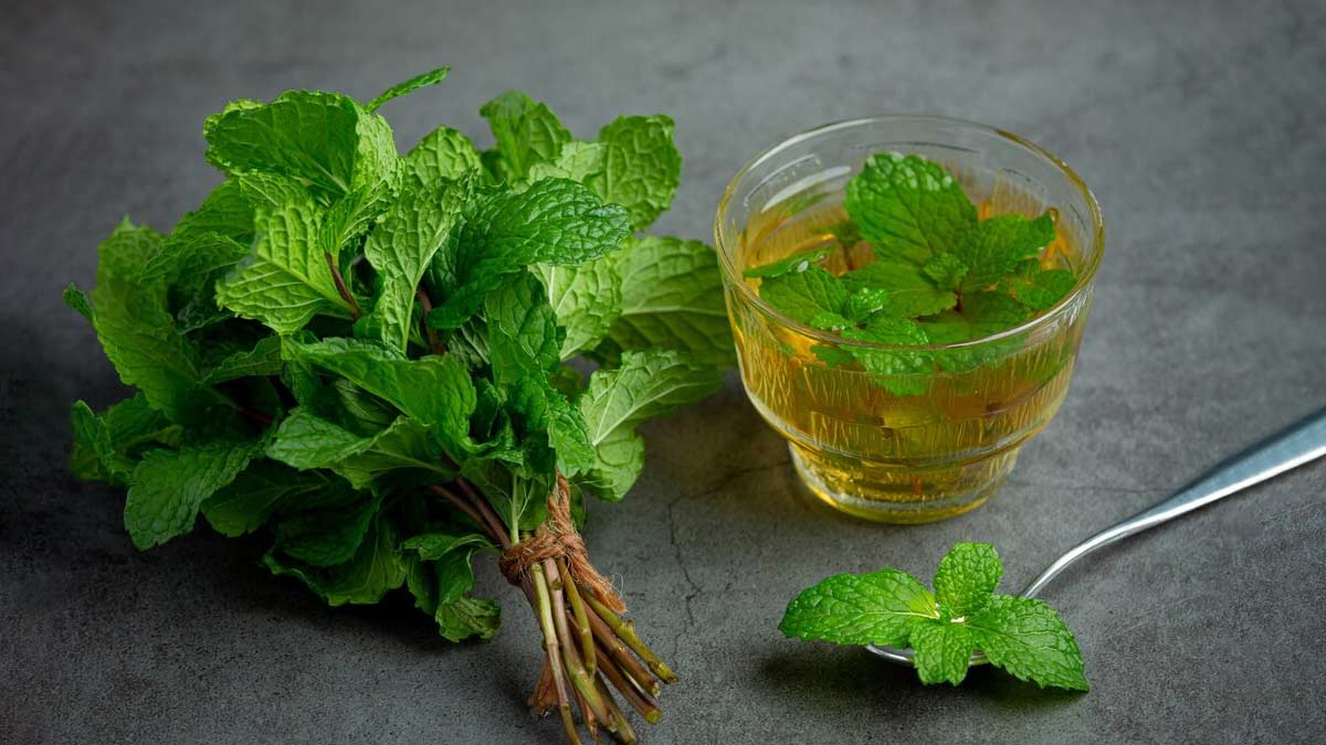 How Can Parsley Help in Preventing Cancer and Other Diseases According to the Text?