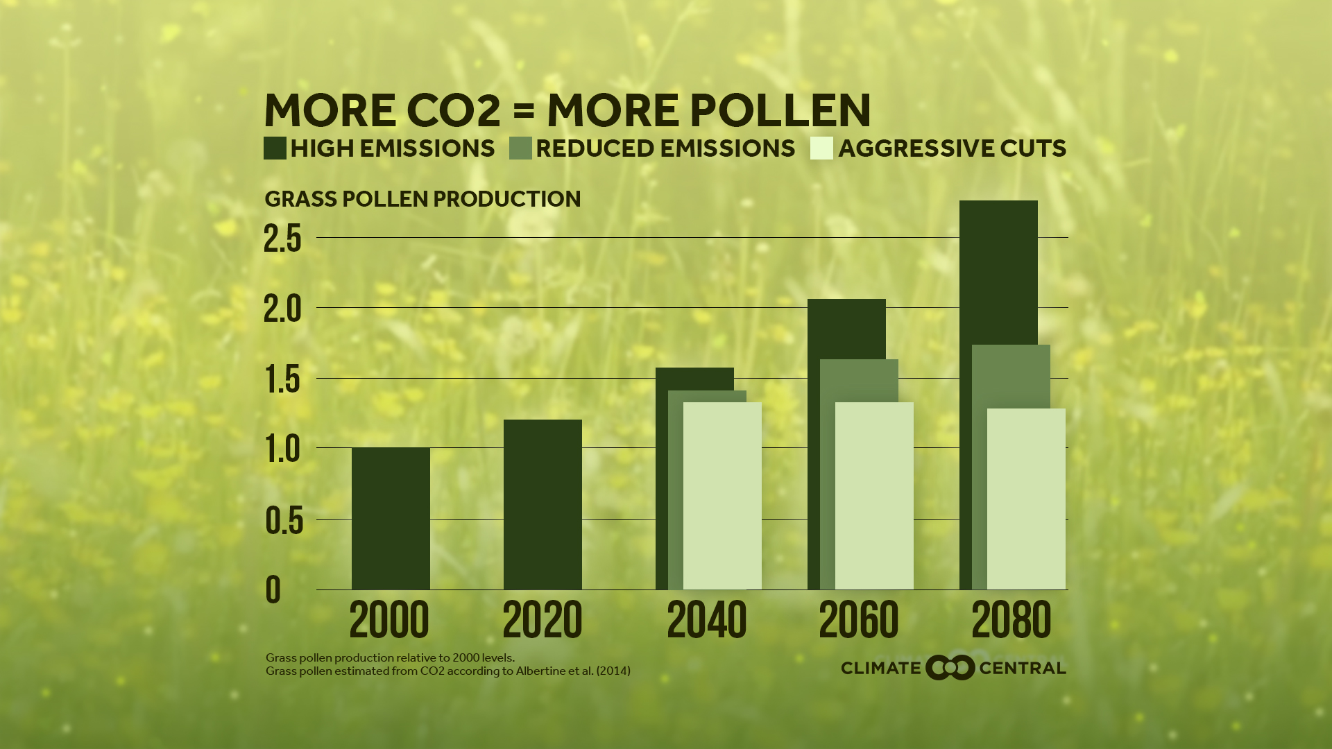 How Does Climate Change Impact Pollen Production and Seasonal Allergies?