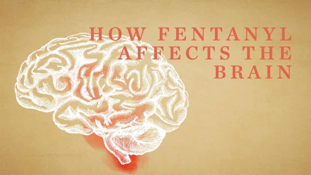 How Does Smoking Fentanyl Affect the Brain Compared to Other Methods of Consumption?