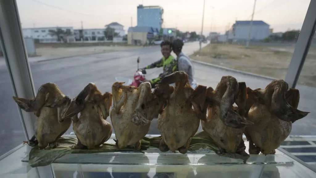 How is Cambodia's disease tracking system essential in detecting zoonotic diseases like H5N1 in humans?