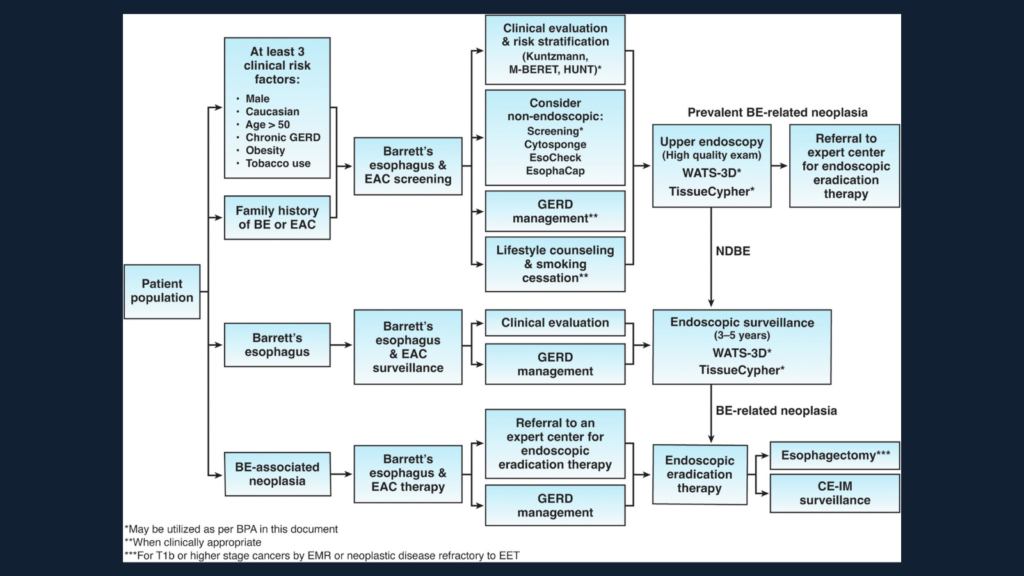 What Are the Patient-Centered Approaches in Barrett's Esophagus Treatment?