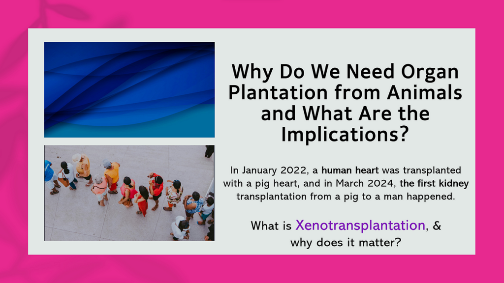 What are the Challenges of Xenotransplantation? Overcoming Immunological, Physiological, and Ethical Hurdles