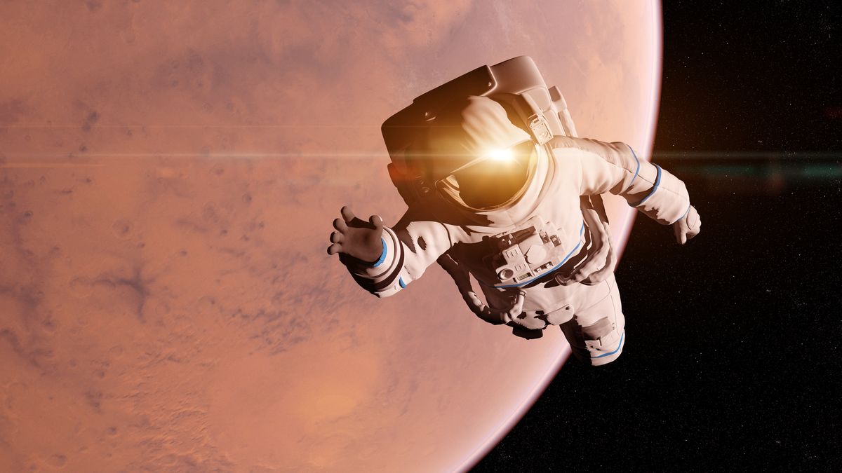 What are the health impacts of prolonged space travel on astronauts? Include effects on musculoskeletal system, fluid distribution, and bone density among others