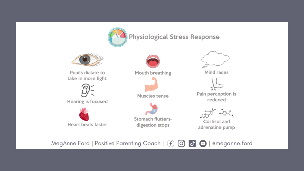 Unveiling the Impact of Respiratory-Pupillary Phase Effect on Human Behavior